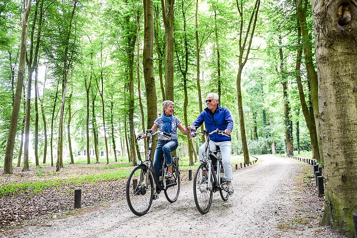 Walking and Cycling Package in the Utrechtse Heuvelrug